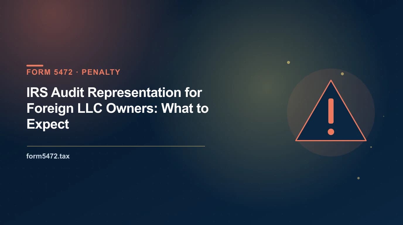 IRS audit representation for foreign LLC owners and Form 2848 power of attorney